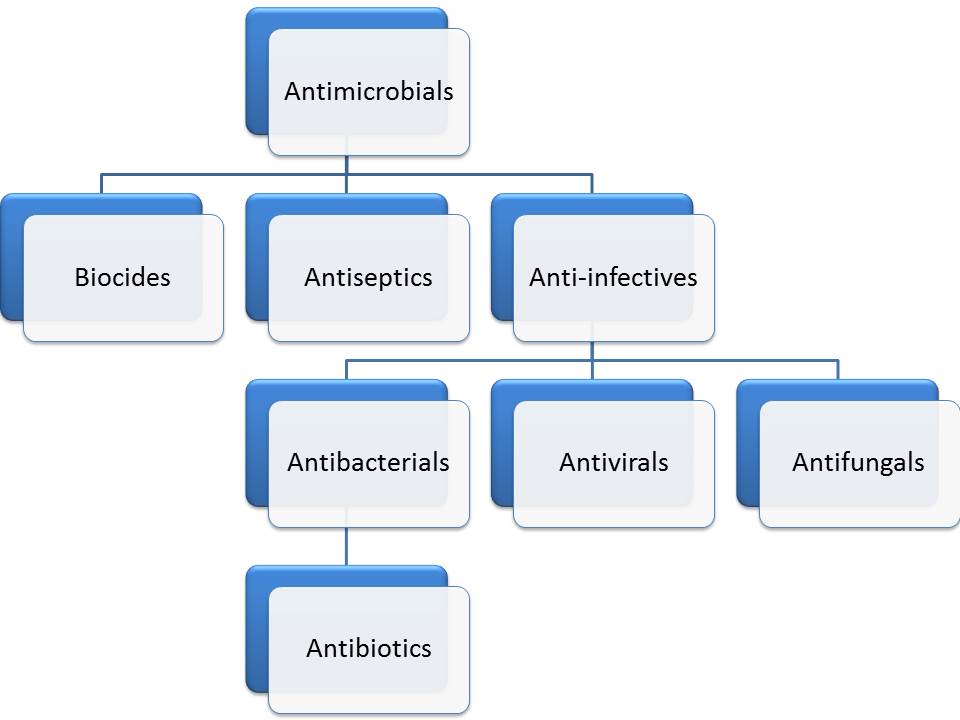 Antimicrobials, anti-infectives or antibiotics?  Reflections on Infection  Prevention and Control